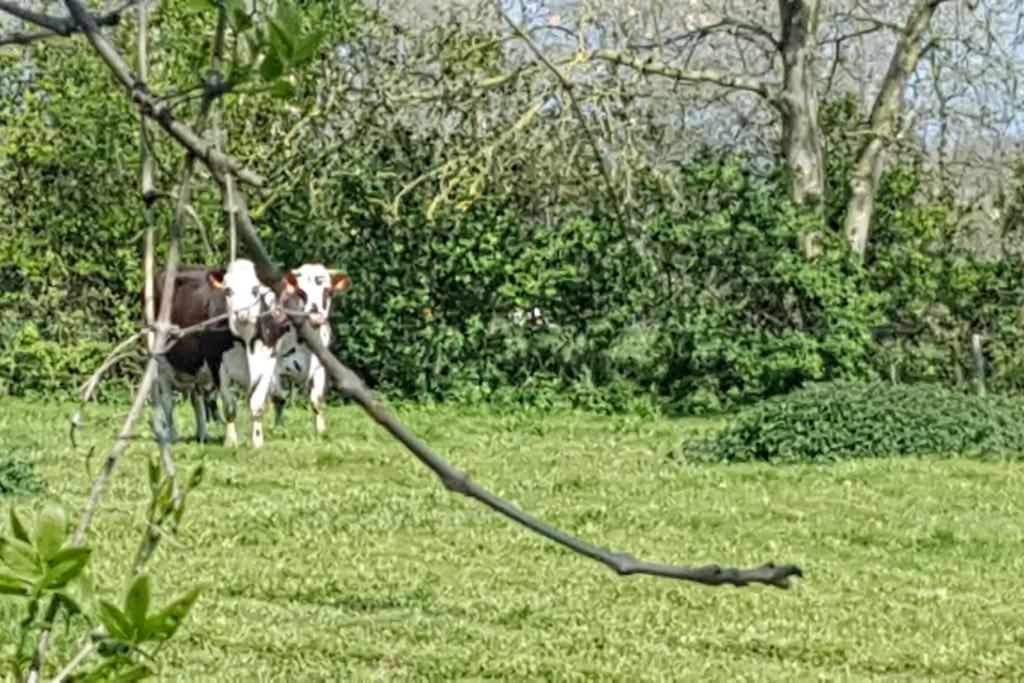 La Bocagere D' Henri