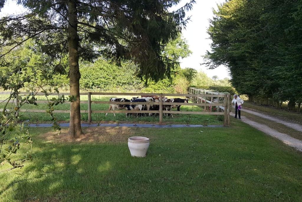 La Bocagere D' Henri Saint-Come-du-Mont